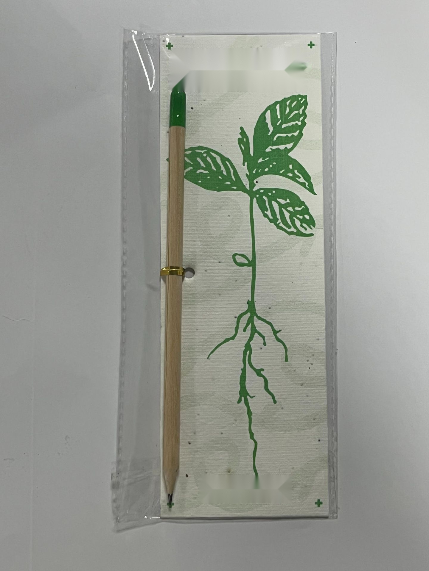 Biodegradable Seed Capsule Plant — detail view 1