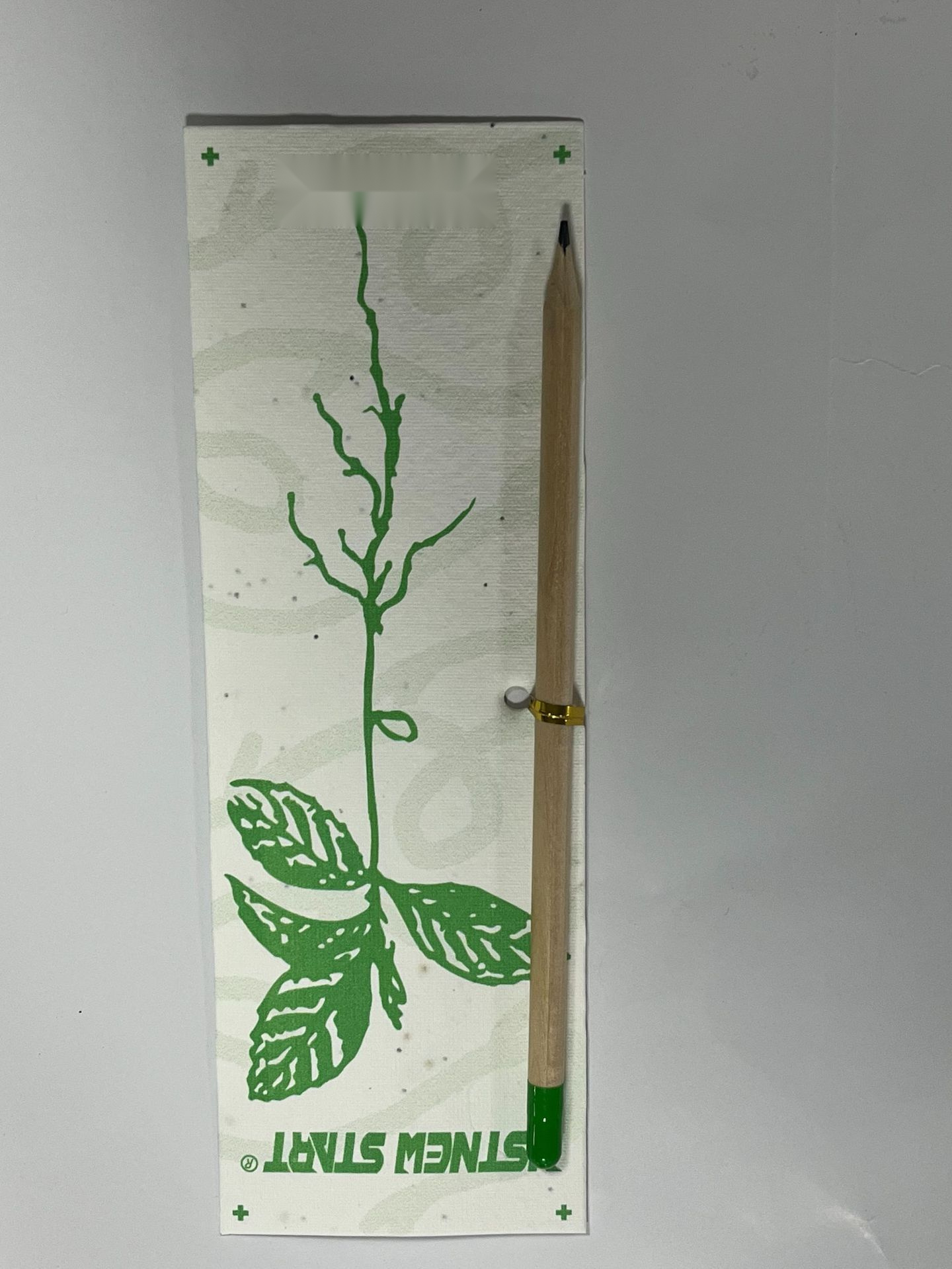 Biodegradable Seed Capsule Plant — detail view 3