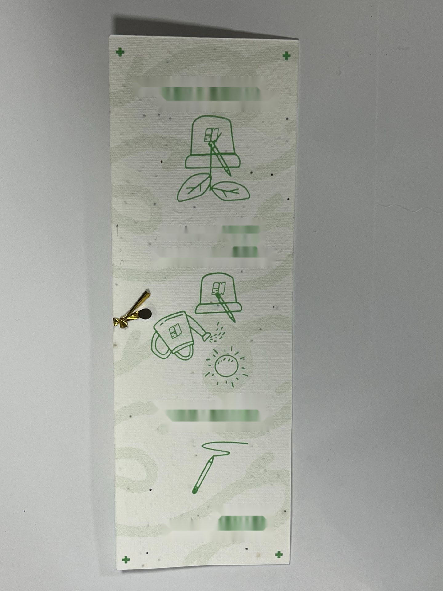 Biodegradable Seed Capsule Plant — detail view 4