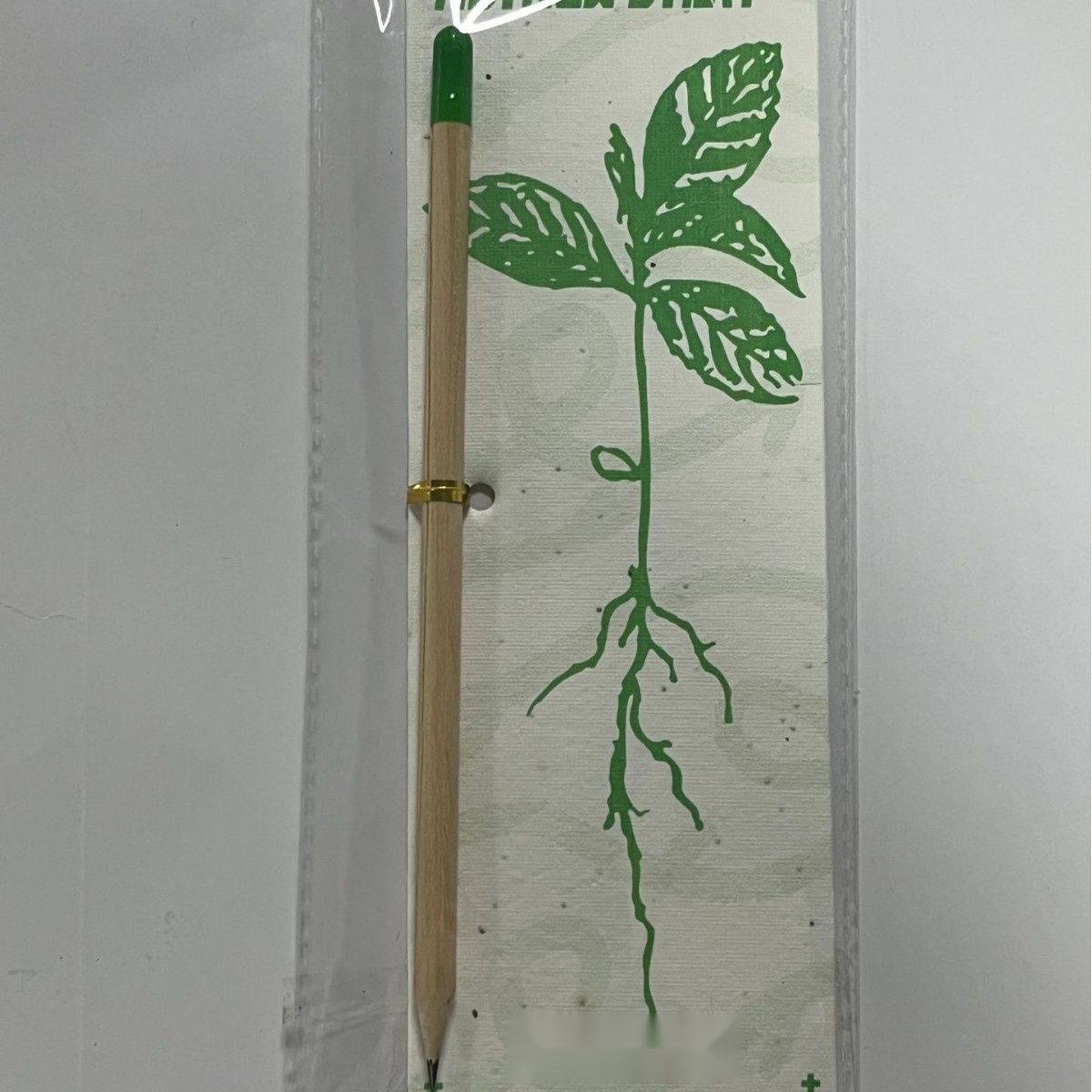 Biodegradable Seed Capsule Plant