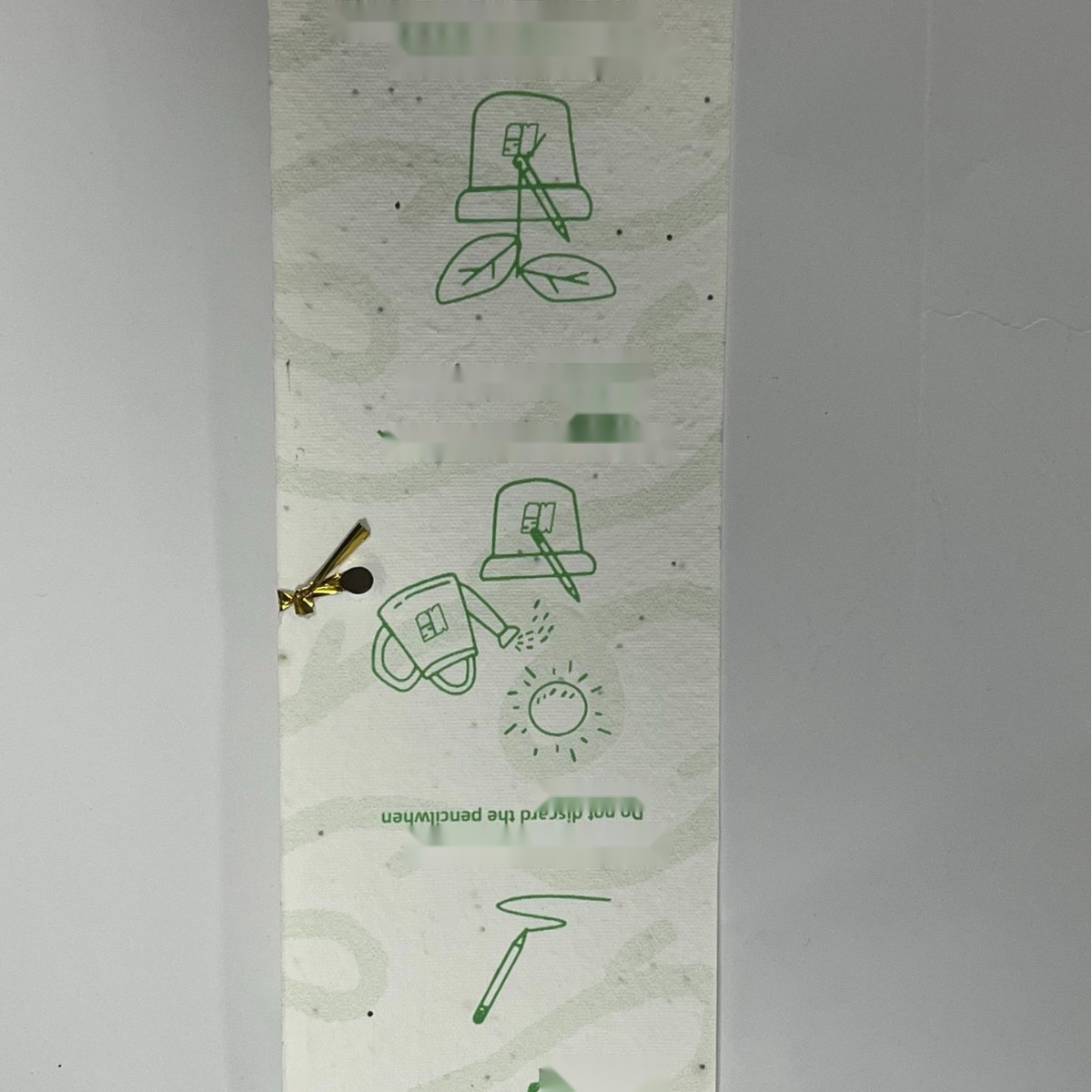 Biodegradable Seed Capsule Plant — main view 3