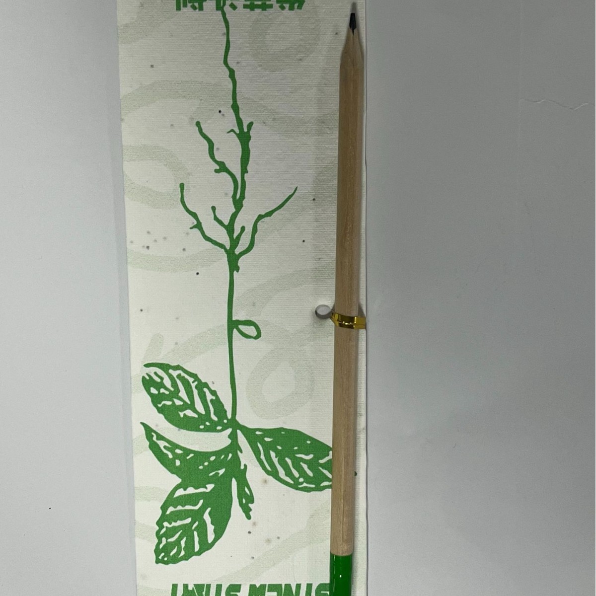 Biodegradable Seed Capsule Plant — main view 4