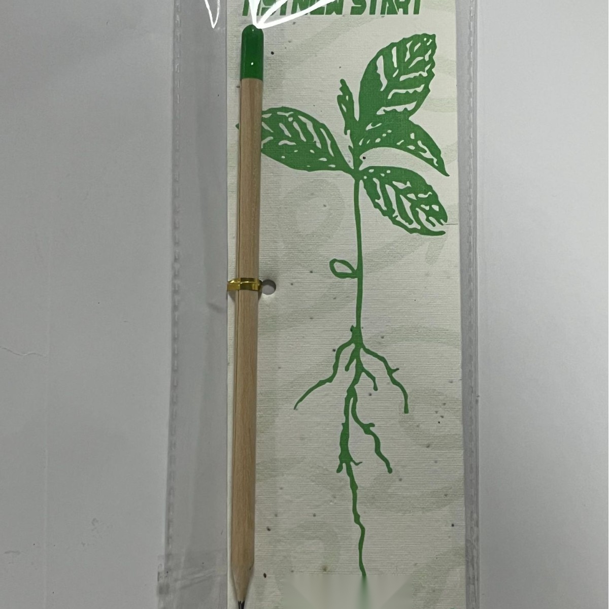 Biodegradable Seed Capsule Plant — main view 7