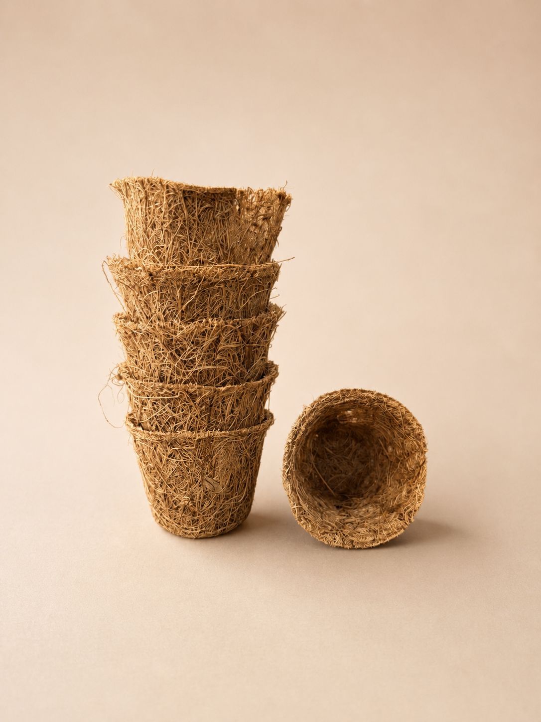 Plantable Seed Paper Germination Ball Kit with Pot and Planting Tools — detail view 4