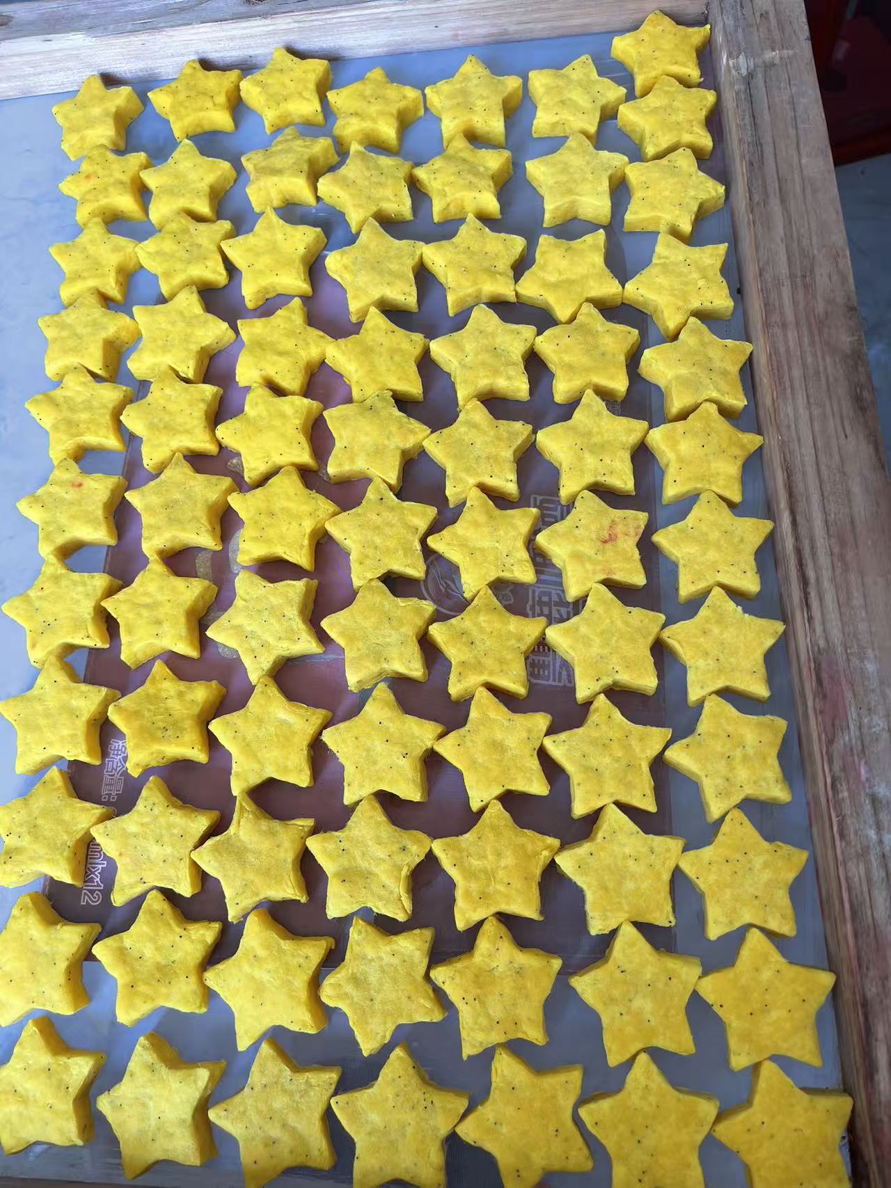 Plantable Seed Paper Star Cards for School Season Gifts and Greeting Cards — detail view 7