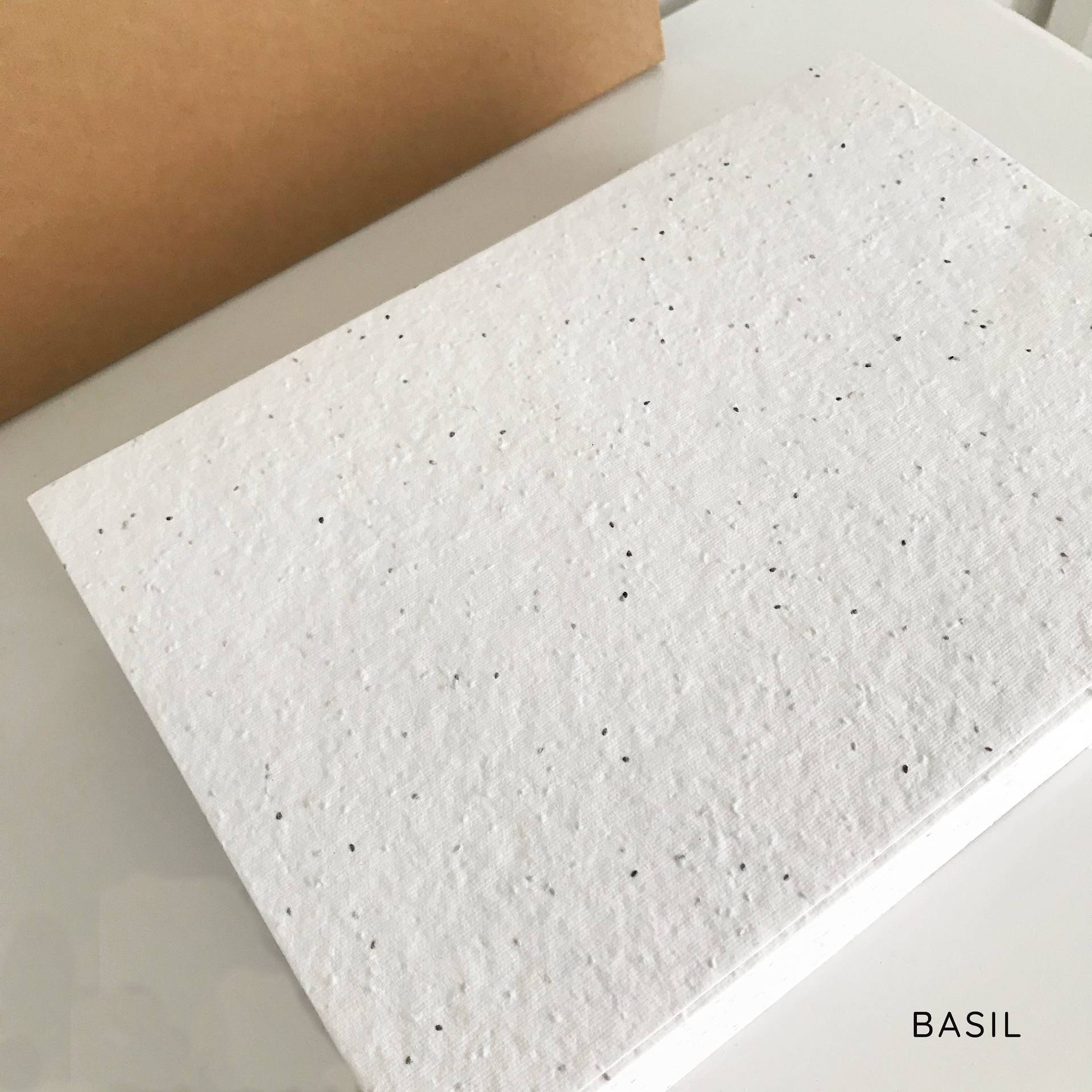 Plantable Seed Paper Cards, Biodegradable Handmade Eco-Friendly Art Paper — main view 6