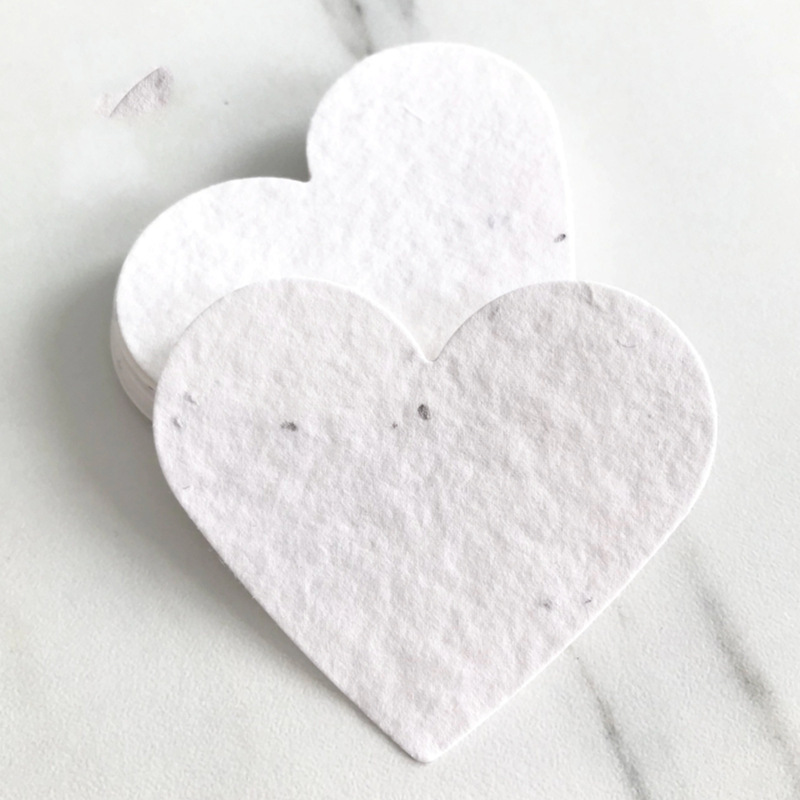 Plantable Seed Paper Cards, Biodegradable Handmade Eco-Friendly Art Paper — main view 7