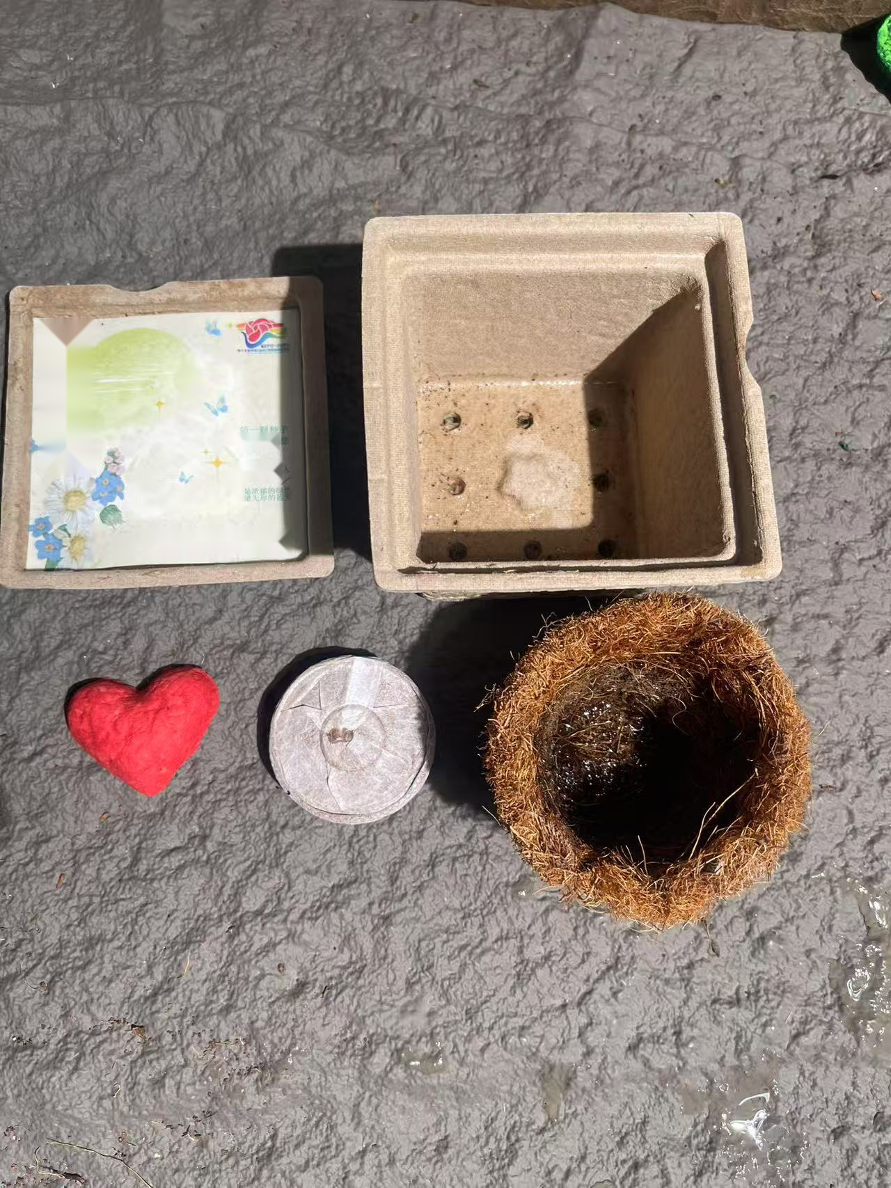 Custom Plantable Seed Paper Gardening Tool Set with Seed Cards — detail view 2