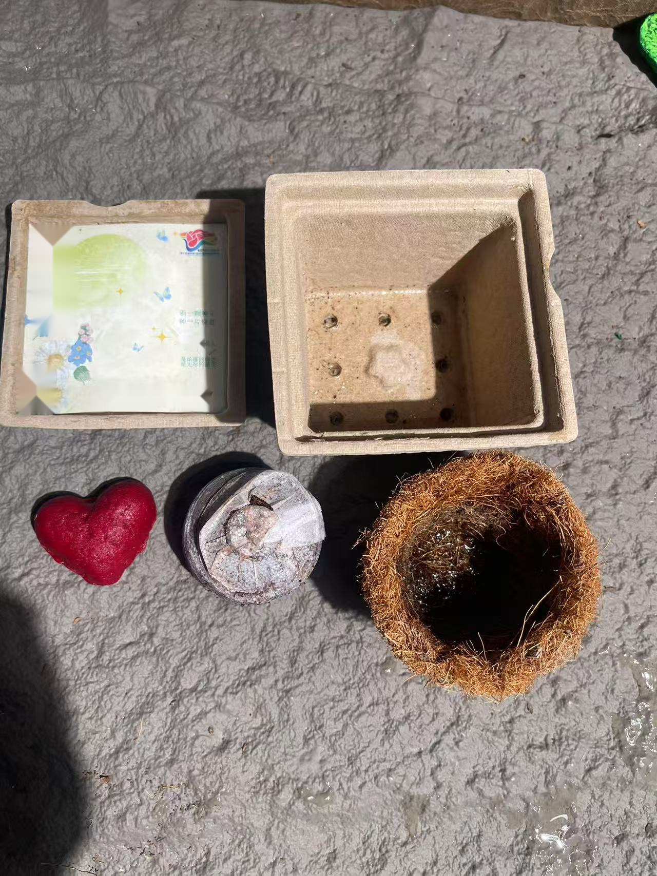 Custom Plantable Seed Paper Gardening Tool Set with Seed Cards — detail view 3