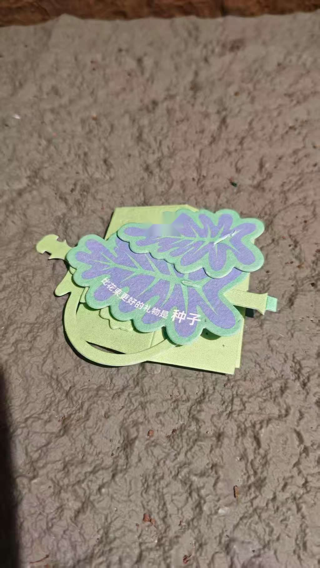 Plantable Seed Paper Card with Watering and Planting Tool Set for Gardening — detail view 7