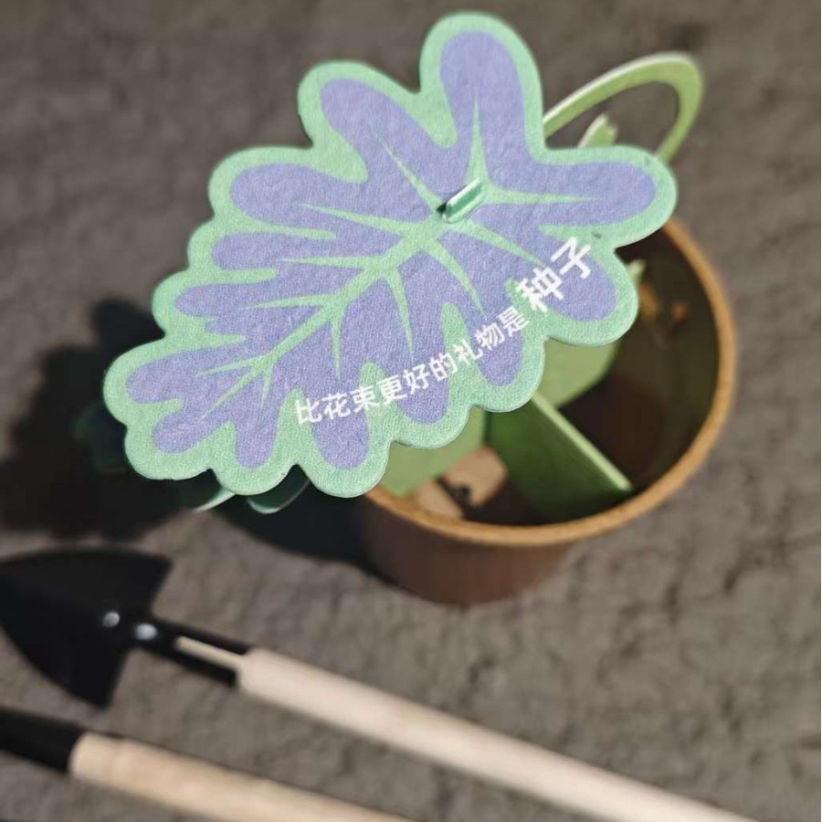 Plantable Seed Paper Card with Watering and Planting Tool Set for Gardening