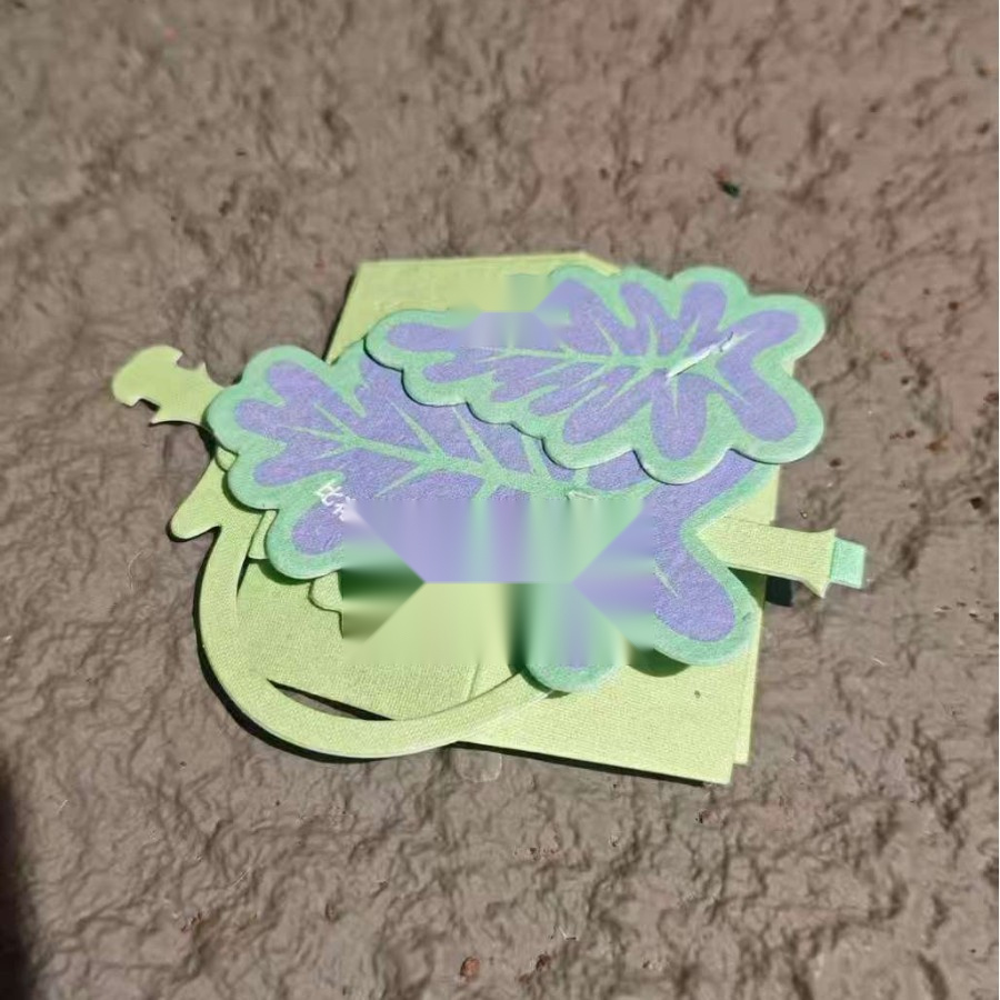 Plantable Seed Paper Card with Watering and Planting Tool Set for Gardening — main view 5