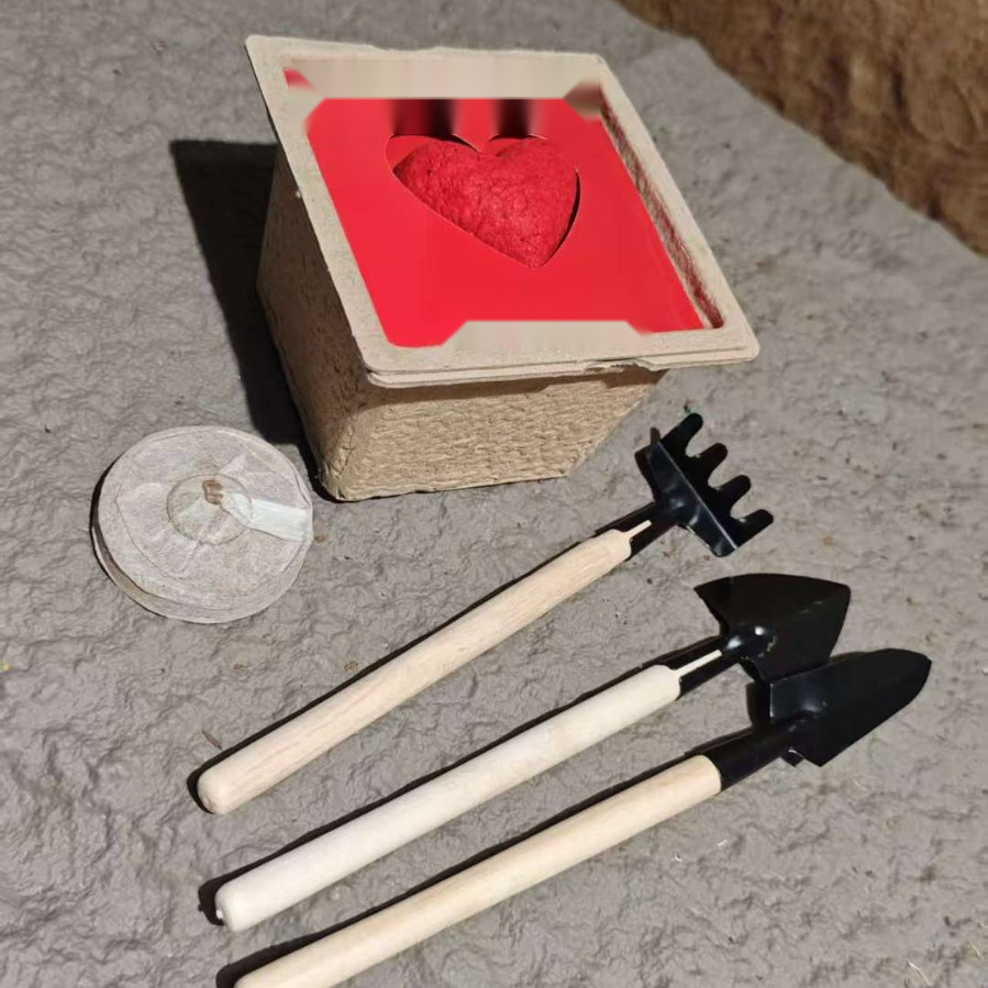 Custom 3D Heart Seed Paper Plantable Greeting Card for Holidays and Gifts